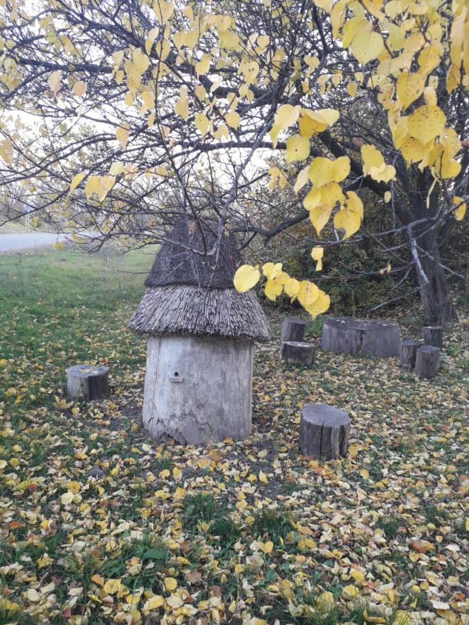 Медова садиба Суботів Екстер'єр фото